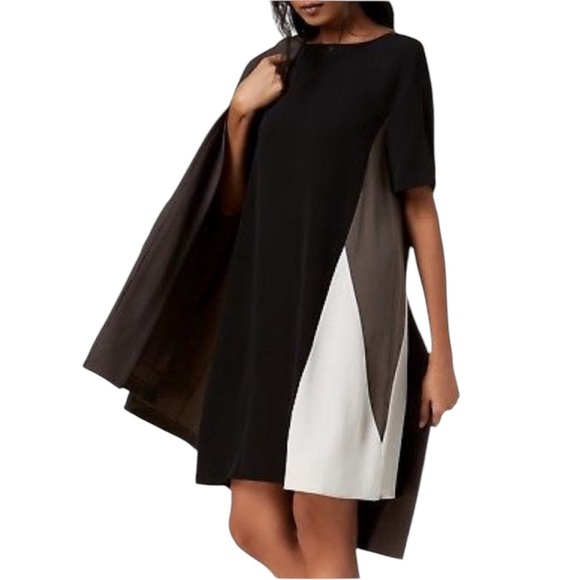 EILEEN FISHER Silk Georgette Crepe Color Block Shift Dress - Picture 3 of 13